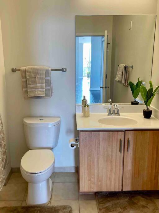 Apartament Penthouse In South Loop Chicago Zewnętrze zdjęcie